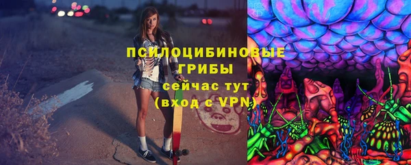 винт Армянск