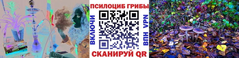 где купить наркоту  Волгодонск  Псилоцибиновые грибы Psilocybine cubensis 